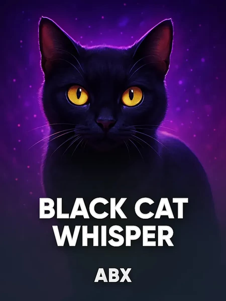 Black Cat Whisper