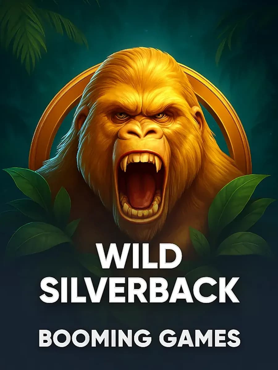 Wild Silverback