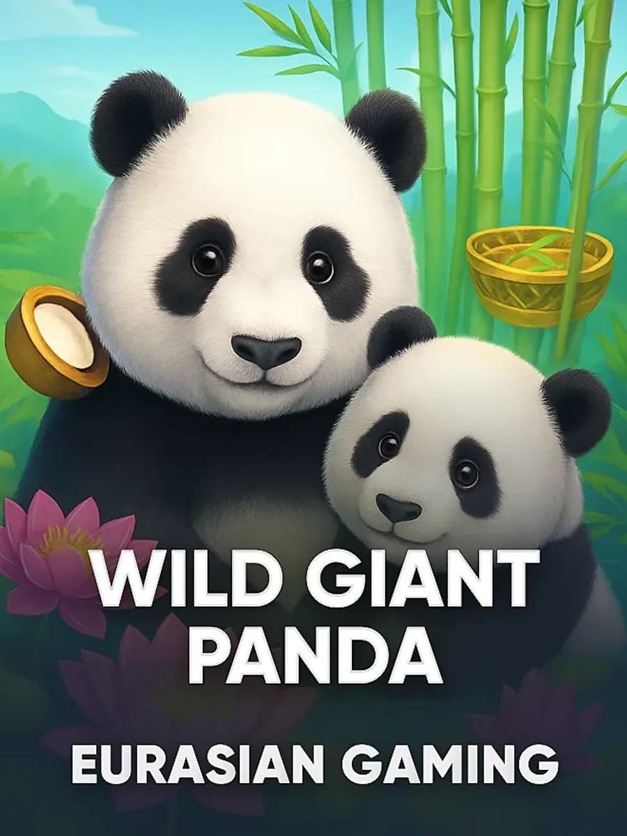 Wild Giant Panda