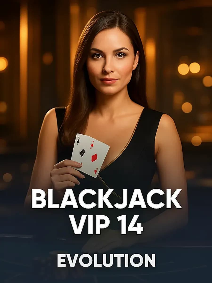 Blackjack VIP 14