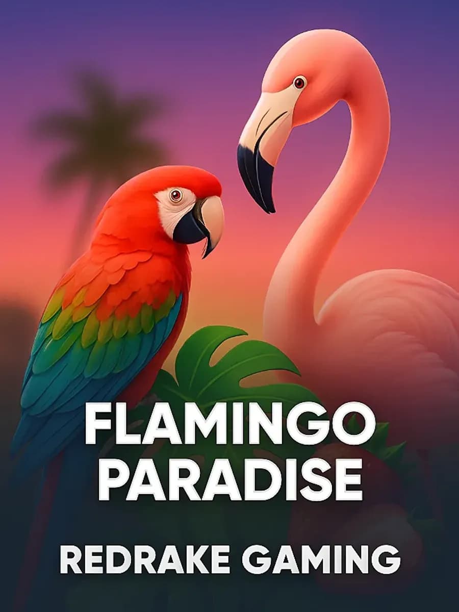 Flamingo Paradise